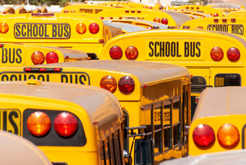 Image filling compressed view of the back of a large number of typical American yellow school buses with sign School Bus on top of each bus - obrazy, fototapety, plakaty