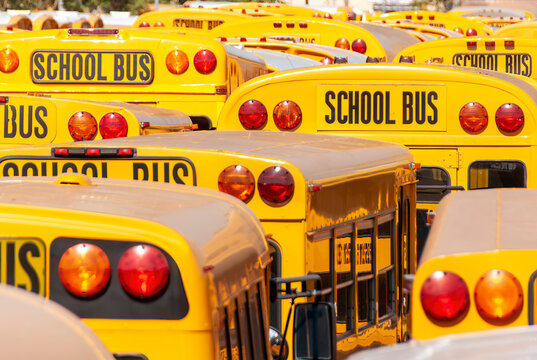 Image filling compressed view of the back of a large number of typical American yellow school buses with sign School Bus on top of each bus