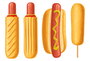 Corndog and hotdog with ketchup, mustard. Vector color realistic illustration. - 724998859