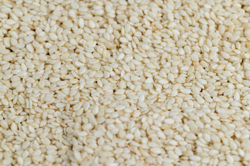 used in cooking sesame seeds