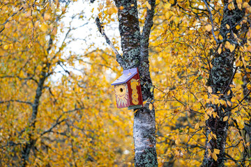 Casas para aves en bosque noruego en otoño