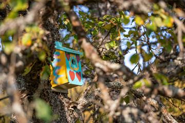 Casas para aves en bosque noruego en otoño