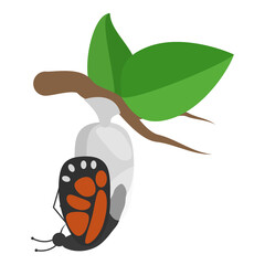 3D Isometric Flat  Illustration of Butterfly Metamorphosis. Item 2