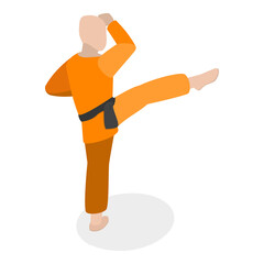 3D Isometric Flat  Set of Martial Art Characters. Item 4 © TarikVision