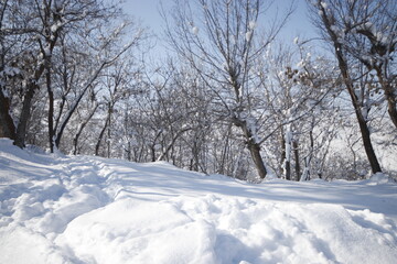 winter views from the city