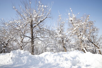 winter views from the city