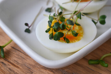 Egg with microgreen radish on a white plate