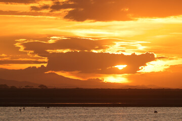 sunset time at a bird lake in Amboseli NP
