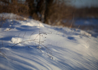 Winter chilly landscape in the field