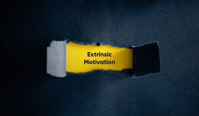Extrinsic Motivation Banner.