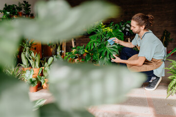 Experienced adult floriculturist dusting, tending to the leaves of potted plants in the verdant interior of a home or florist's shop.