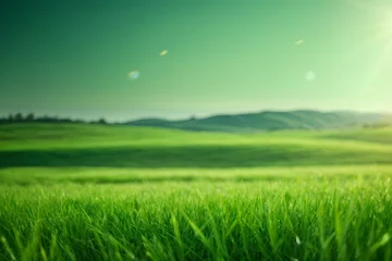 Photo sur Plexiglas Vert Green grass and sunlight banner background