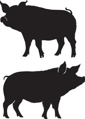 Pig black silhouette