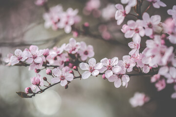 Frühling