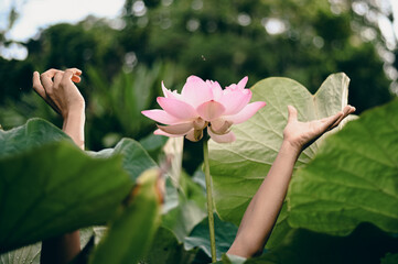 lotus flower woman 