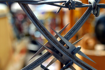 Extreme close-up detail of a barbed razor wire fence.