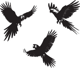 Set of Parrot black silhouette 