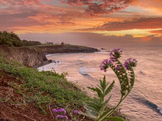 Fototapeten playa Maui © armelle