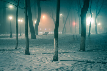 Lawn in the snow and alley of a night winter park in a fog. Footpath in a winter city park at night in fog with benches and latterns. Beautiful foggy evening in the Mariinsky Park. Kyiv, Ukraine.