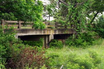 Wide-angle photo of an old abandoned concrete highway bridge overgrown with lush green foliage.
