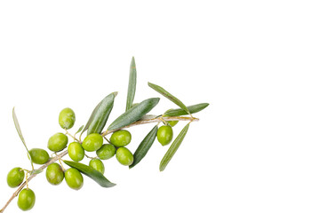 Fresh green olives on the white background