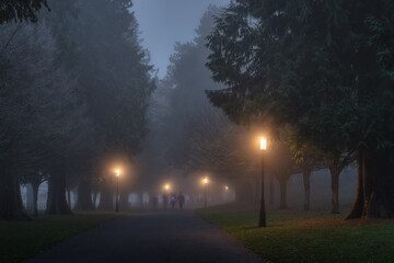 Blurred people, family, that walks in thick fog, on road surrounded by trees and illuminated by...