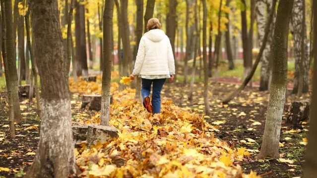 Senior woman with fallen leaves in her hands walks along foliage