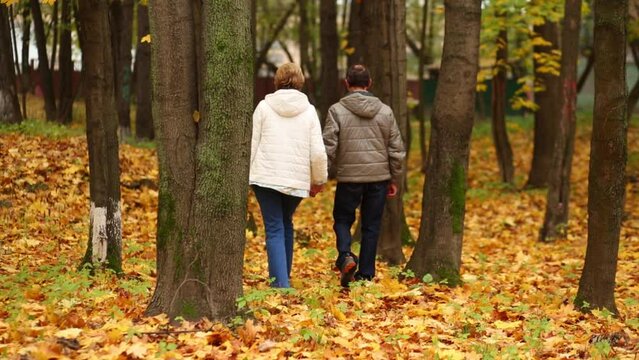 Senior woman and man walking on fallen leaves holding hands in autumn park
