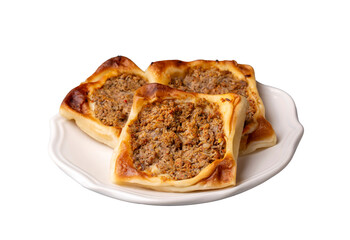 Traditional delicious Turkish foods; Kaytaz pastry with minced meat of Turkey Hatay - Antakya region (Turkish name; Kaytaz boregi)