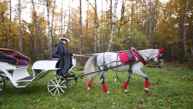 Coachman on a horse cart drives a horse in a circle in an autumn park