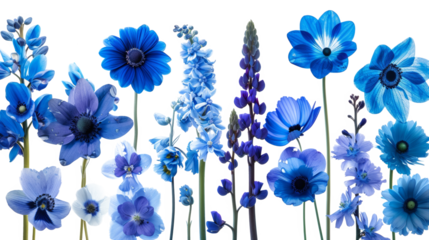 A Group of Blue Flowers Sitting Next to Each Other