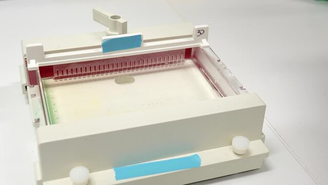 Agarose gel preparation in the gel tray using the 30-well comb. High quality 4k footage