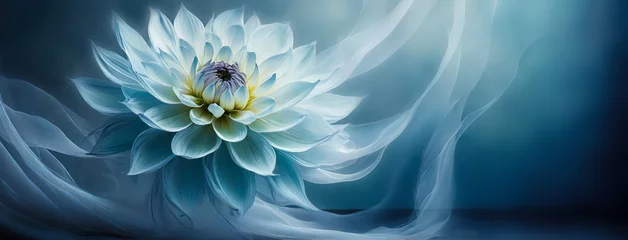 Foto op Canvas Biała dalia, niebieskie tło, tapeta w kwiaty  © anettastar