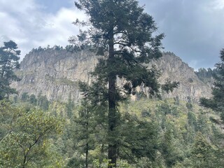 vista de una montaña rocosa en medio del bosque verde