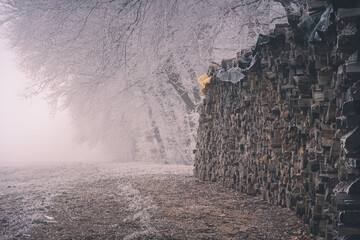 Brennholz in der Natur