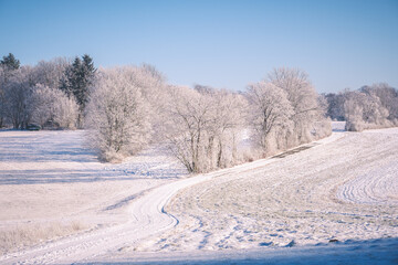 Fototapeta na wymiar Feldweg im Winterkleid auf der schwäbischen Alb