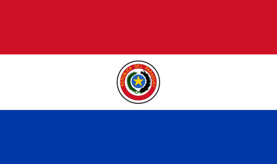Flag of Paraguay. Paraguay flag. National symbol - obrazy, fototapety, plakaty