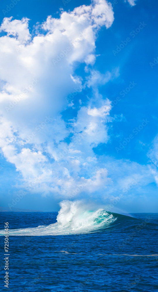 Canvas Prints big sea wave