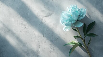  a blue flower sitting on the side of a white wall next to a green leafy branch of a plant.