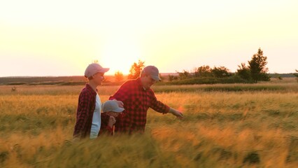 Farmer couple clasps child hands sprinting through wheat field at sunset. Farmer family assists...