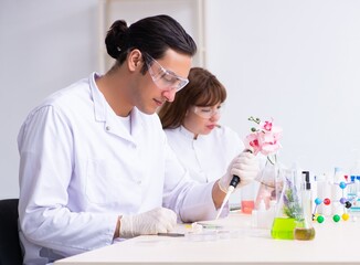 Two chemists working in the lab