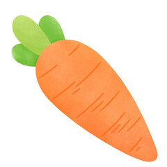Cute Carrot watercolour hand drawing