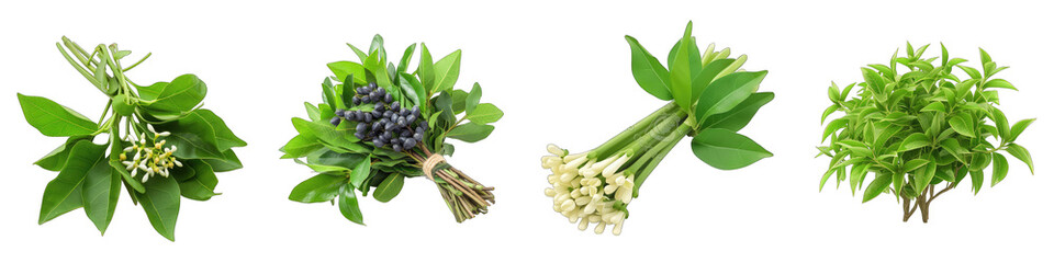 A Bunch Of Fresh Fragrant kala jira Hyperrealistic Highly Detailed Isolated On Transparent Background Png File White Background Photo Realistic Image