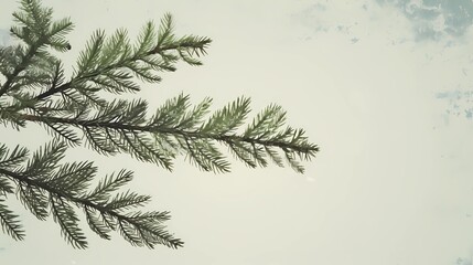 seamless background with coniferous branches pattern, coniferous, fir, 