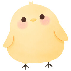 Cute Chicks cartoon character watercolour hand drawing