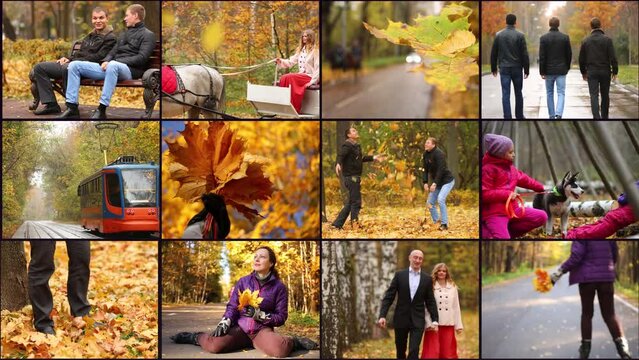 People and landscapes in bright autumn parks, collage 4K