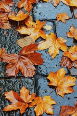a group of orange leaves on a wet surface