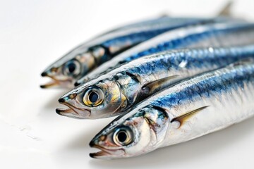 a group of fish on a white surface