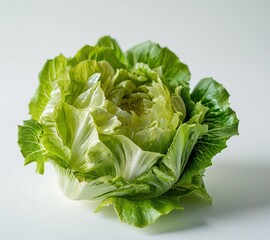a head of lettuce on a white surface