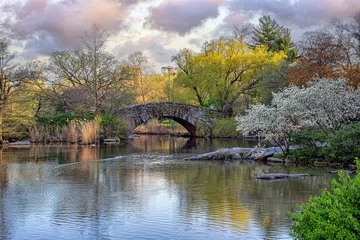 Foto auf Acrylglas Gapstow-Brücke Gapstow Bridge in Central Park early spring